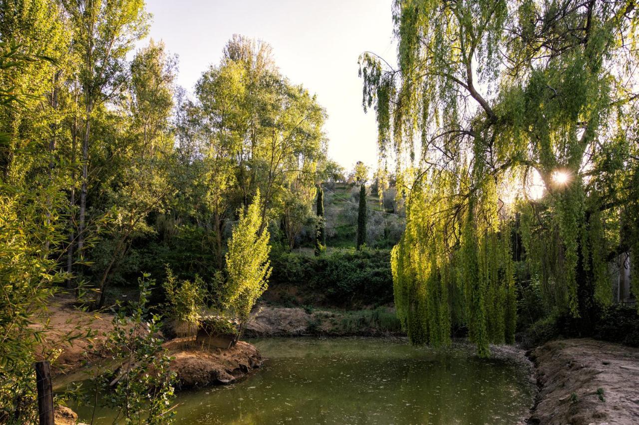 Вилла Il Poggio Degli Olivi Беттона Экстерьер фото